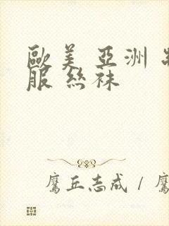 欧美 亚洲 制服 丝袜