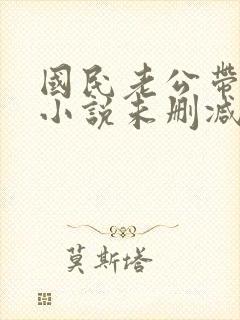 国民老公带回家小说未删减