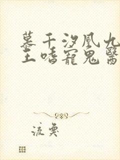 慕千汐凰九夜邪王嗜宠鬼医狂妃免费阅读