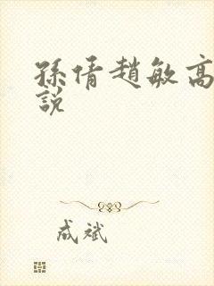 孙倩赵敏高义小说