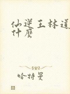 仙逆王林道心是什么