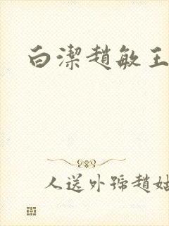 白洁赵敏王申封面