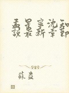 孟星宁沈知聿小说最新章节免费阅读