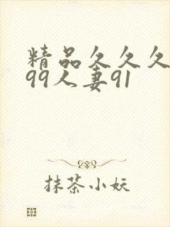 精品久久久久久99人妻91