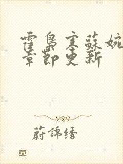 霍枭寒苏婉最新章节更新封面