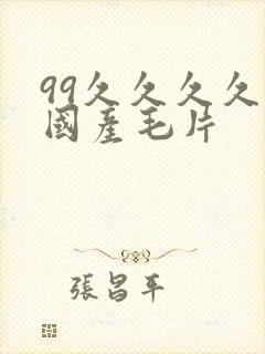 99久久久久久国产毛片