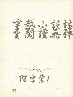 穿越小说林丰免费阅读无弹窗