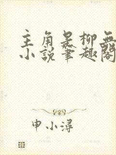 主角是柳无邪的小说笔趣阁封面