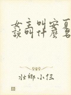 女主叫安夏的小说叫什么名字封面