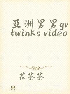 亚洲男男gv twinks video