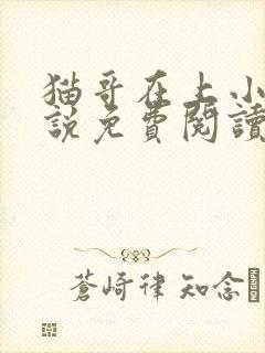 猫哥在上小说小说免费阅读