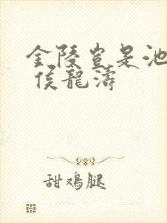 金陵岂是池中物 侯龙涛封面