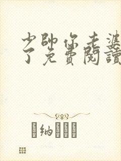 少帅你老婆又跑了免费阅读在线