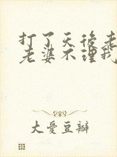 打了天后老婆,老婆不理我了小说