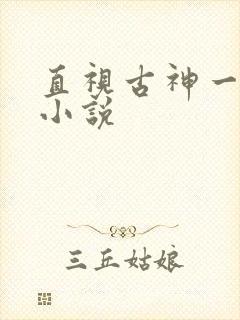 直视古神一整年小说封面