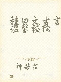 种田文古言平淡温馨轻松