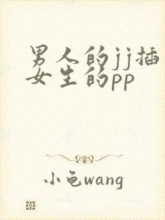 男人的jj插入女生的pp