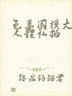 色喜国模大尺度人体私拍封面