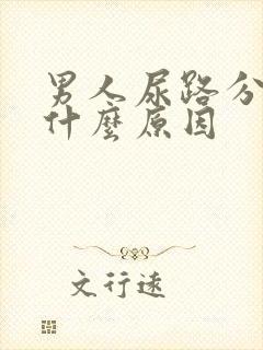 男人尿路分叉是什么原因