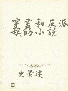 穿书和反派在一起的小说封面