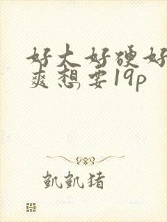 好大好硬好深好爽想要19p