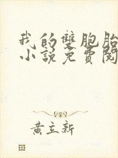 我的双胞胎老婆小说免费阅读全文