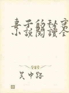 妻子的秘密吴双小说阅读全文