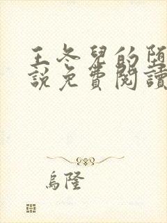 王冬儿的堕落小说免费阅读