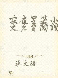 寂夜星芒小说全文免费阅读封面