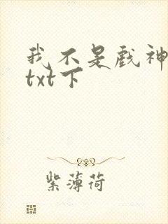 我不是戏神小说txt下