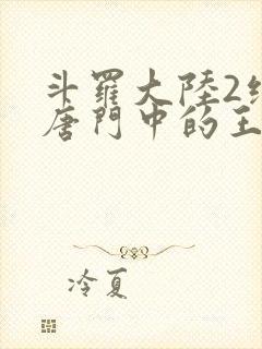 斗罗大陆2绝世唐门中的王冬