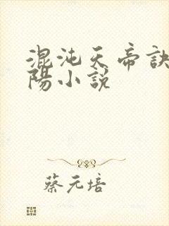 混沌天帝诀剑轻阳小说封面