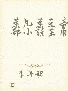 叶凡叶天帝是哪部小说主角封面