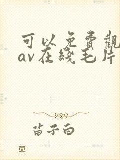 可以免费观看的av在线毛片