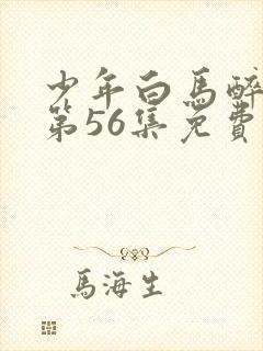 少年白马醉春风第56集免费观看