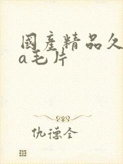 国产精品久久久a毛片
