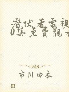 潜伏者电视剧40集免费观看