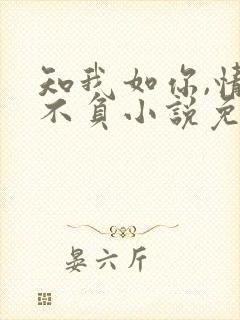 知我如你,情深不负小说免费阅读