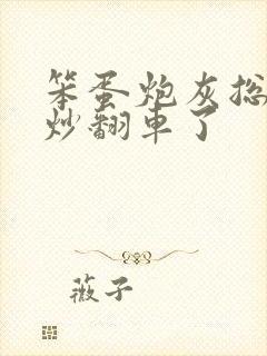 笨蛋炮灰总被爆炒翻车了