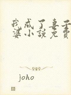 我成了妻子的老婆小说免费阅读全文封面