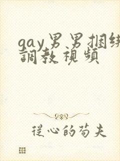 gay男男捆绑调教视频
