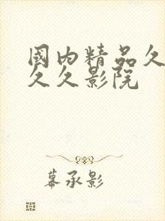 国内精品久久久久久影院