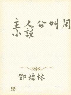 主人公叫周平的小说