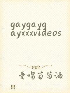 gaygaygayxxxvideos封面