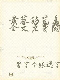 黄蓉的荒岛情缘全文免费阅读笔趣阁