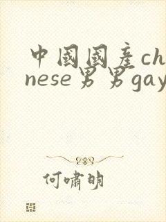 中国国产chinese男男gay gay网站