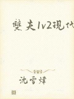 双夫1v2现代封面