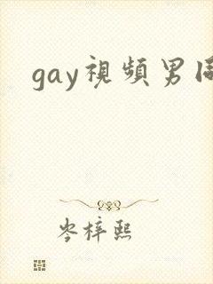 gay视频男同