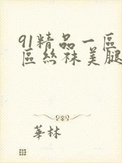 91精品一区二区丝袜美腿