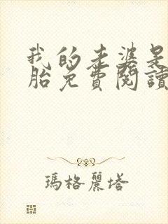 我的老婆是双胞胎免费阅读封面